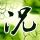 link alternatif bolacasino88 Pranala luar Tema dari Kamimura Gakuen yang baru adalah “mentransmisikan dari diri sendiri”
